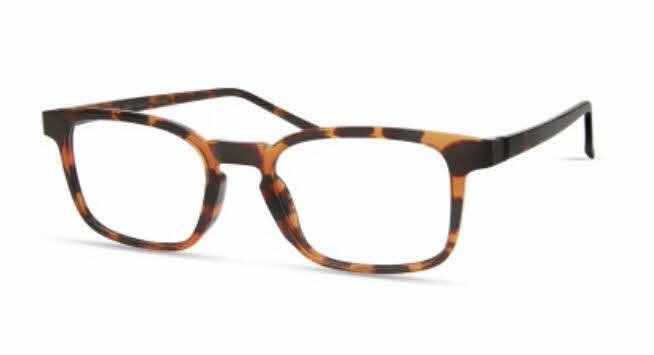 MODO 7053 BROWNTORTOISE