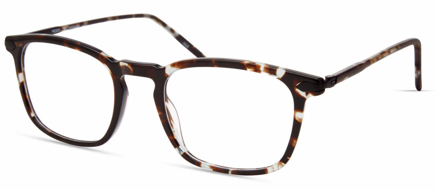 MODO BAY GREYTORTOISE