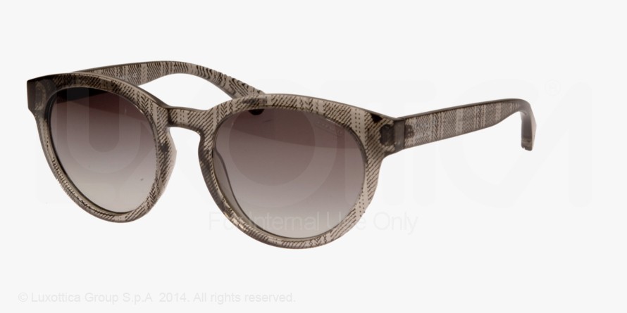 clearance COACH 8063  SUNGLASSES