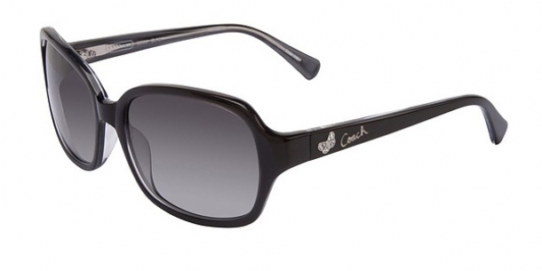 COACH S2050 001